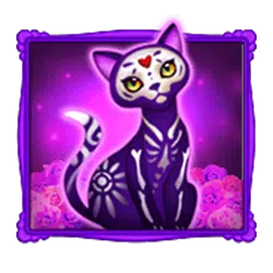 bone fortune jili cat symbol
