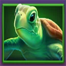 Poseidon-Turtle